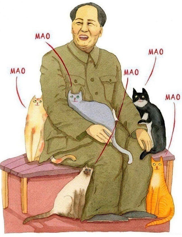 Прикольные и просто красивые картинки 25.11.2025