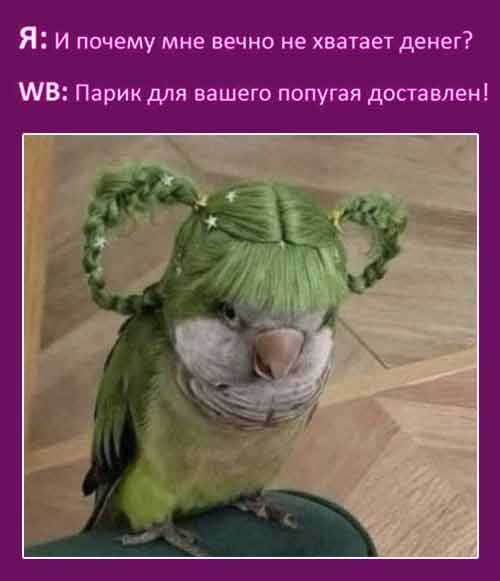 Картинки для деградации 113 (разной степени свежести)
