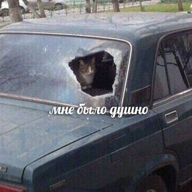 Веселые картинки в пятницу (27.03)