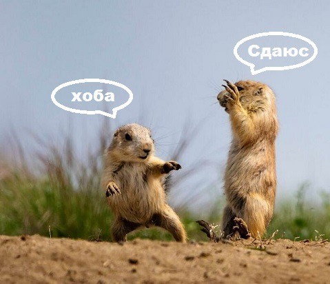 Веселое настроение в картинках 28.07.26