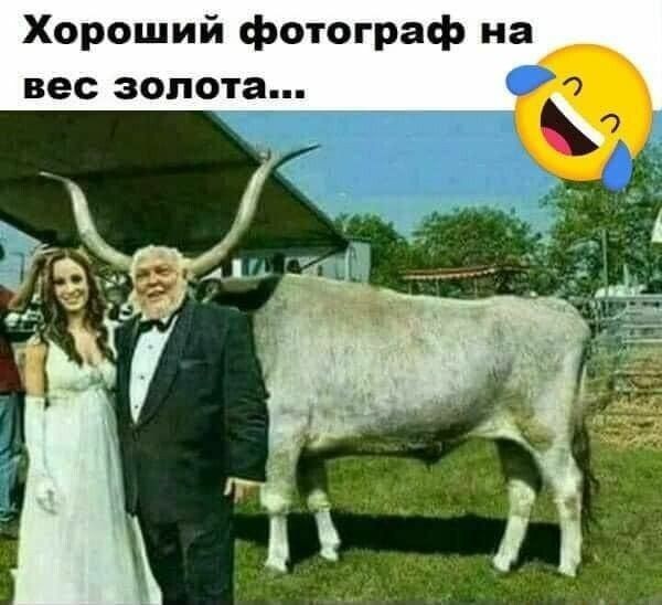 Картинки на среду