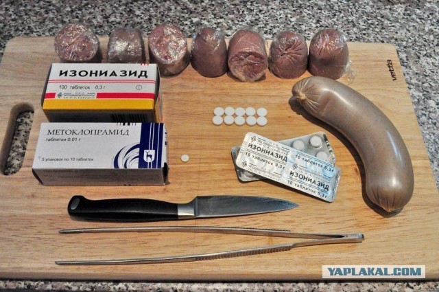 Чем отгонять злых собак легально?