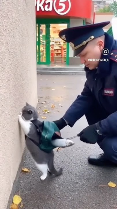 Ничто человеческое им не чуждо
