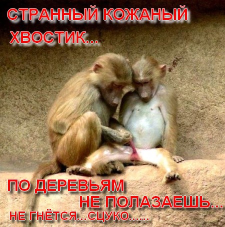 Хорошие изгибы