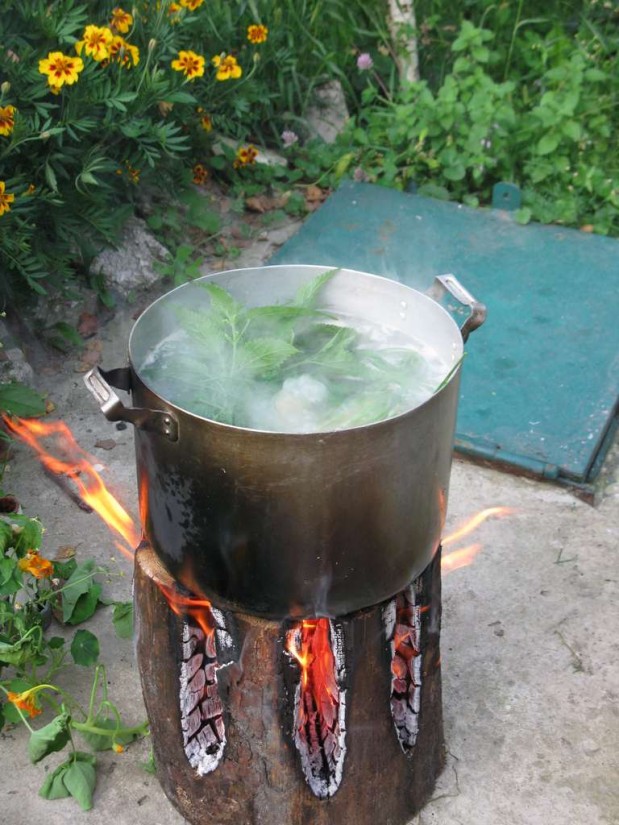 Шведская (финская, таежная) свечка
