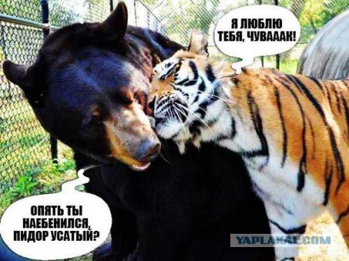 Люди, я вас понимаю!