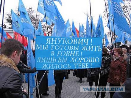 Беркут растрощил водителю автомобиль.