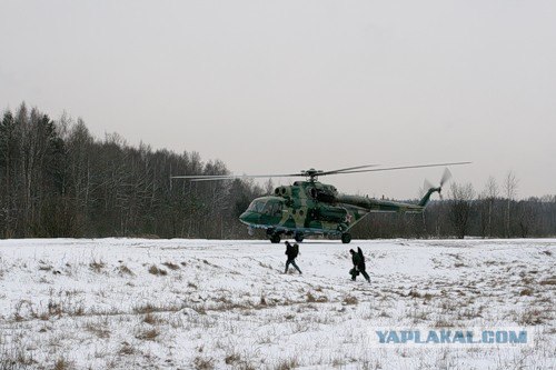 СтрайкБолл (StrikeBall, AirSoft)