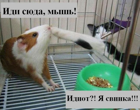 Подборка смешных картинок :)