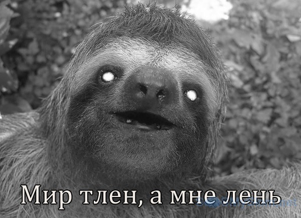 Чёрный юмор