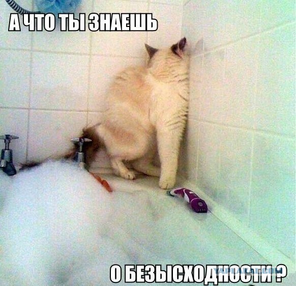 Ищи, кому выгодно!