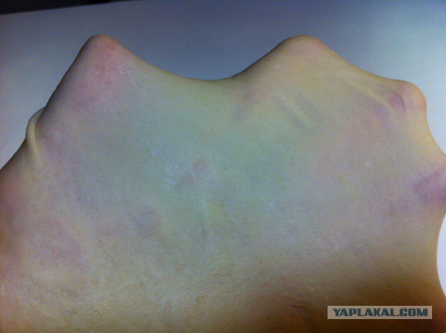 Тема памяти БоРмАnа и Дженибека, Готовим по рецептам ребят