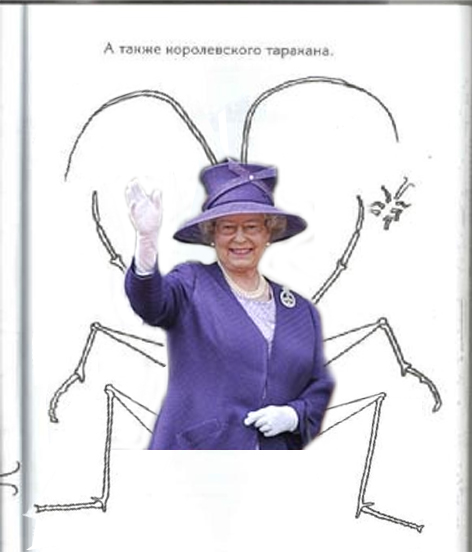 Книжка-раскраска! делай с ней что хочешь...