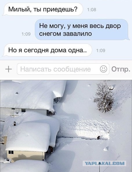 Картинки