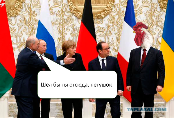 Предлагаю пожабить