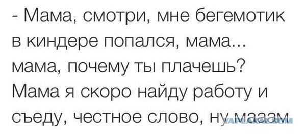 Минутка шизофрении