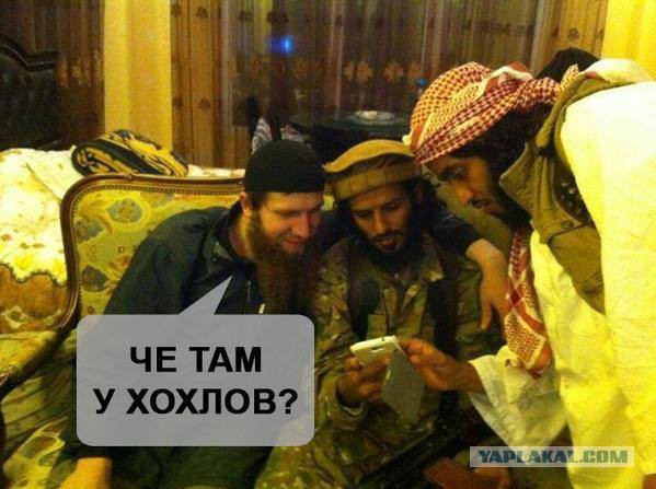 Глава ГАИ Украины подал в отставку