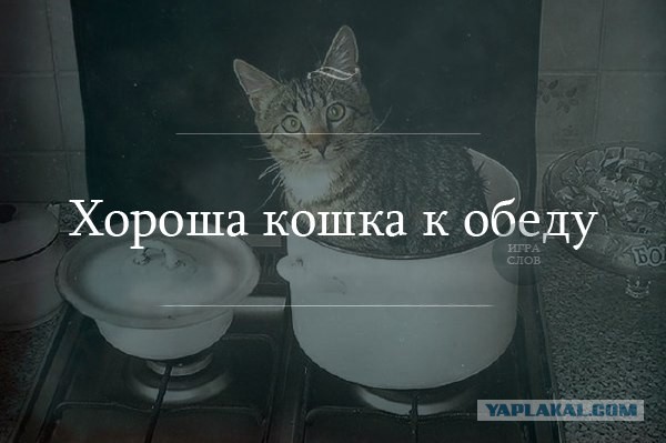 Просто картинки