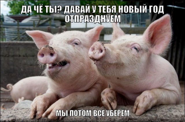 Пацаны отмечают Новый Год (без девушек), это весело наблюдать а не участвовать