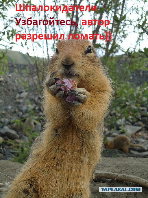 Моя Якутия.
