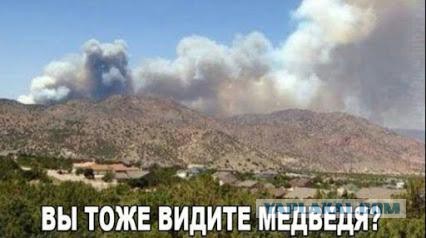 ВКС России в Сирии. видео со стороны бармалеев