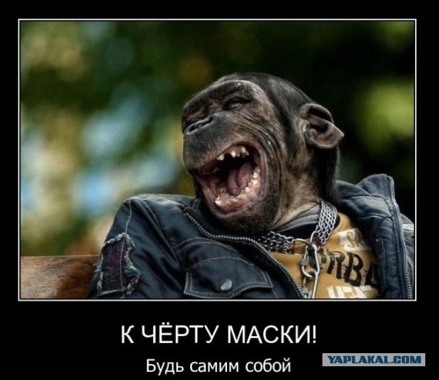 Президент Турции в совете НАТО после недавних собы