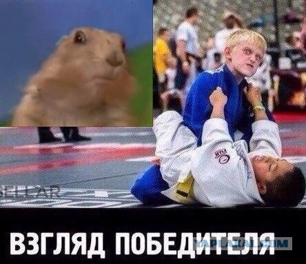 Картинки на пятницу