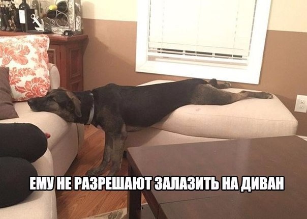 Картинки на пятницу