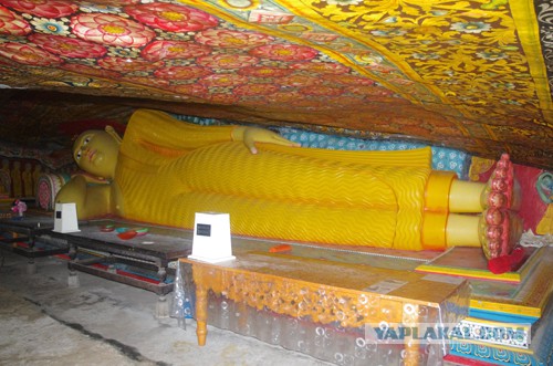 Самостоятельное путешествие в Шри-Ланку