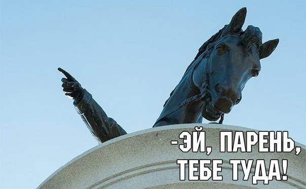 Подборка Картинок из сети