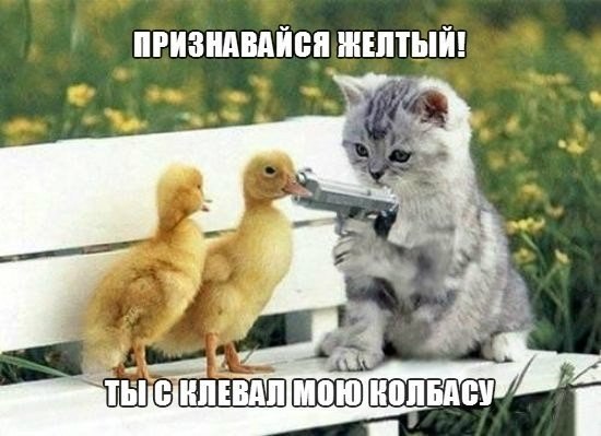 Подборка картинок 01.03.16