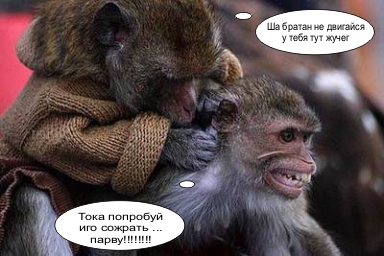 Безудержные животные