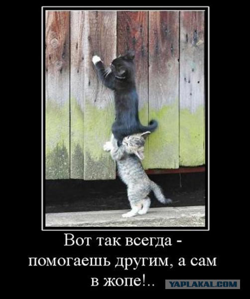 Подборка за неделю