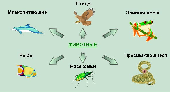 Смешные комментарии 27.03.2016