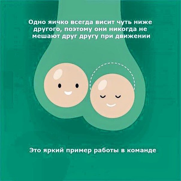 Фотоподборка на пятницу.