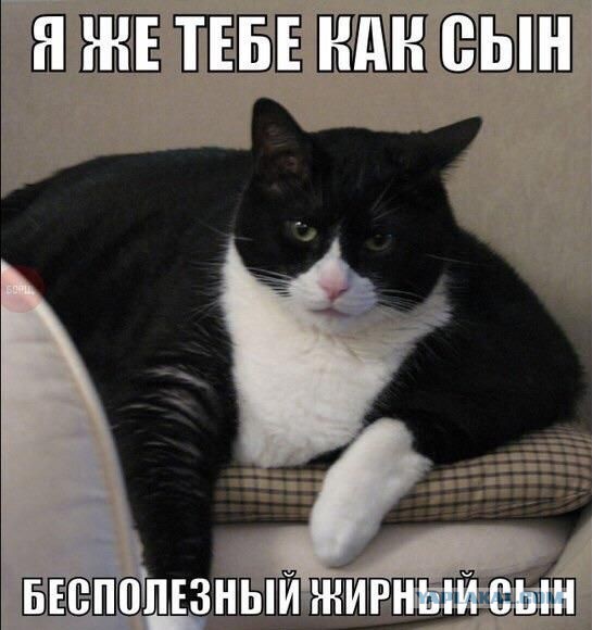 На диетку бы...
