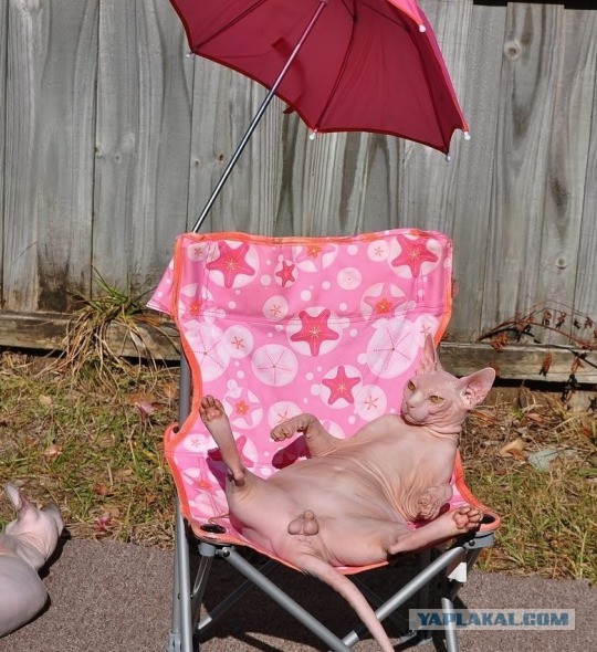 Когда позируешь как фотомодель