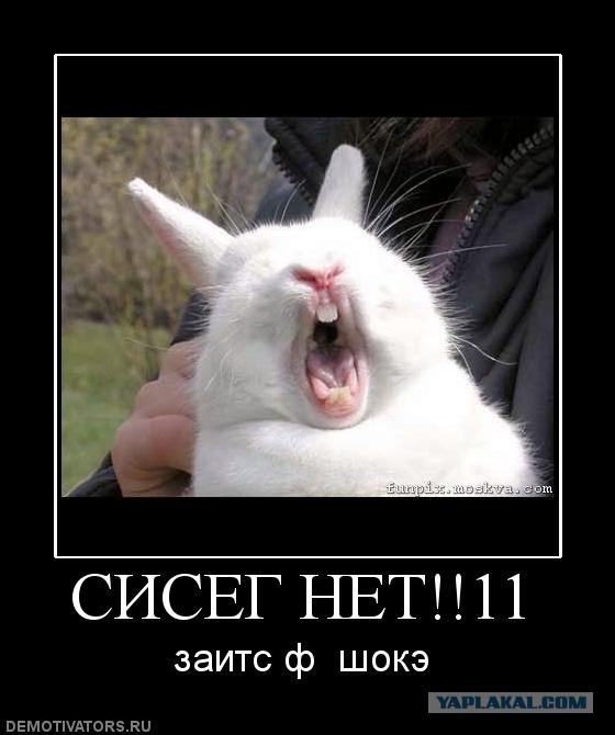 Приятные девушки из социальных сетей