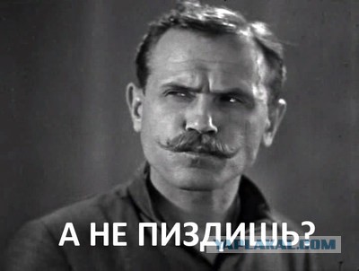 Пистолеты. Револьверы. Гравировка.