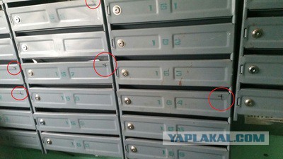 Задолбали! Как бороться?