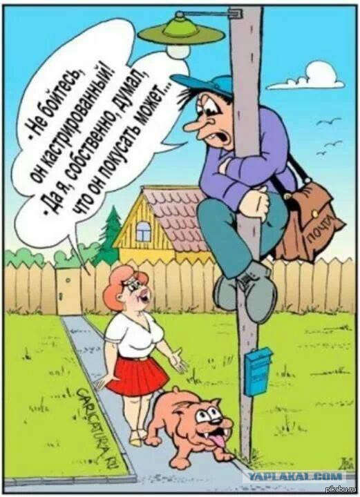 Взбесили. Собаководы недальновидные.