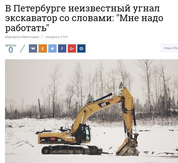 Тупые люди. Тупые животные. Тупые высказывания. Все тупые!