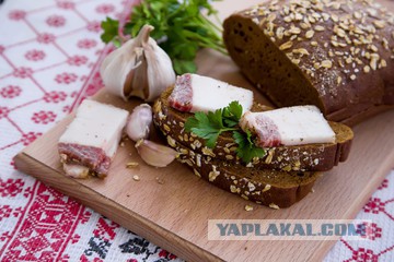 Британцы составили список вкусностей из России, которых миру не хватает