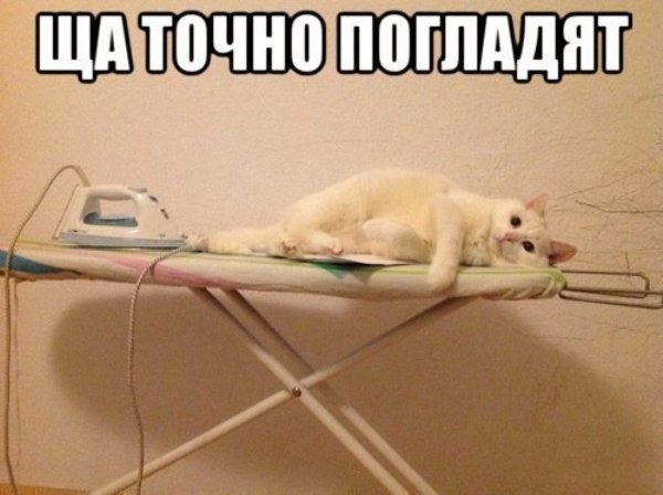 184 картинки для поднятия настроения!