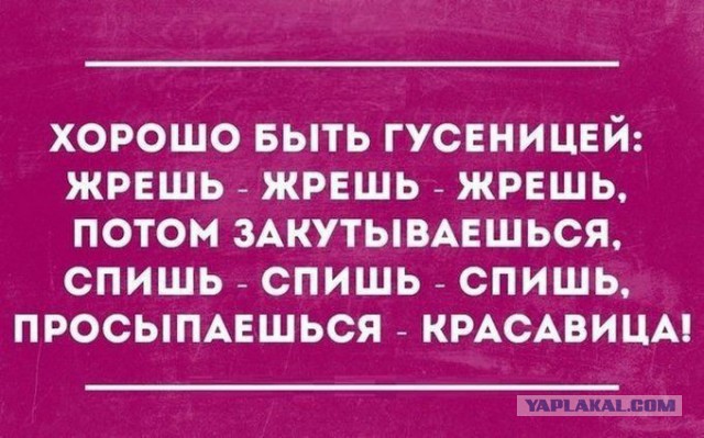 Неделя моды в Париже полностью вышла из-под контроля