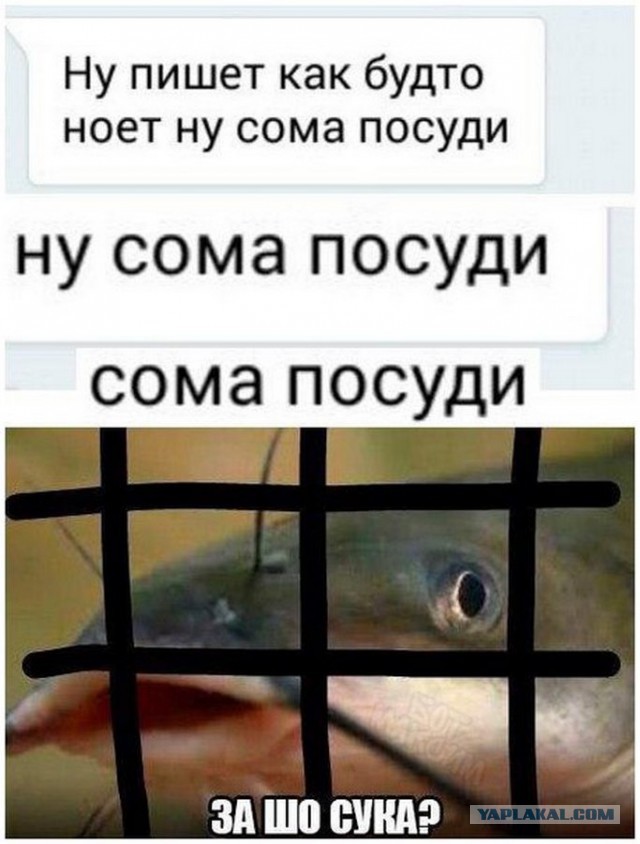 Оператора, снимавшего избиение школьницы в Барнауле жестоко избили