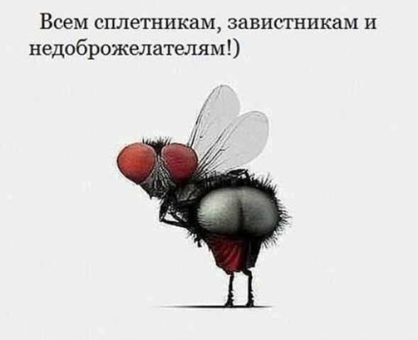 От работы тяжёлой не ной, пост с картинками для отдыха открой!
