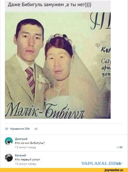 Муж, увидевший лицо жены только на свадьбе, через неделю подал на развод