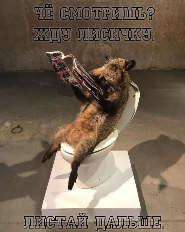 Да что тут вообще происходит?