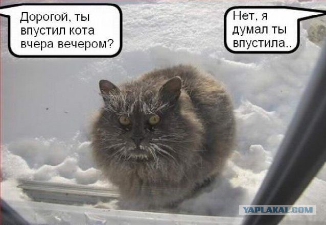 Это что - завтра весна? Да лааадно!